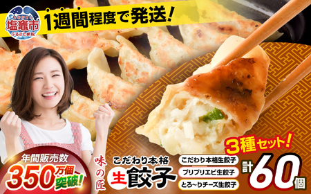 餃子 3種類 詰め合わせ 計60個（12人前）