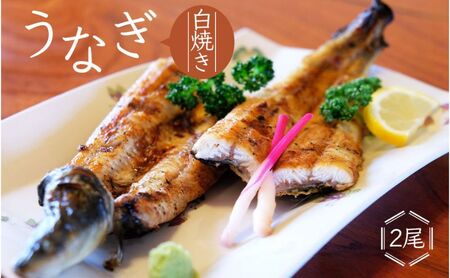 かけはし 創業40年 全てが職人による手焼き うなぎの白焼き 2尾 鰻 