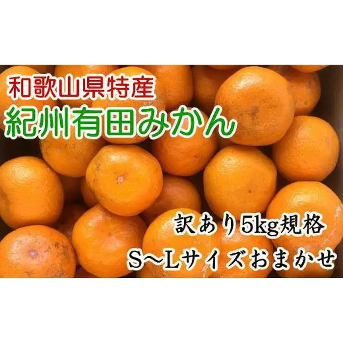 [訳あり]和歌山有田みかん約5kg（S～Lサイズいずれかお届け）★2026年11月中旬頃より順次発送［TM81］