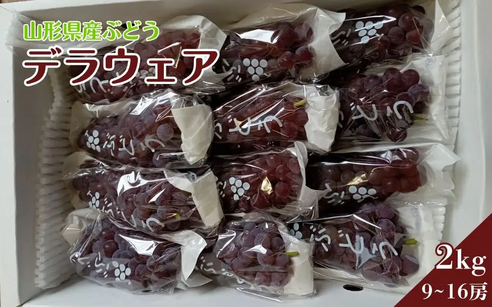 ぶどう（デラウェア）２ｋｇ　0142-2602