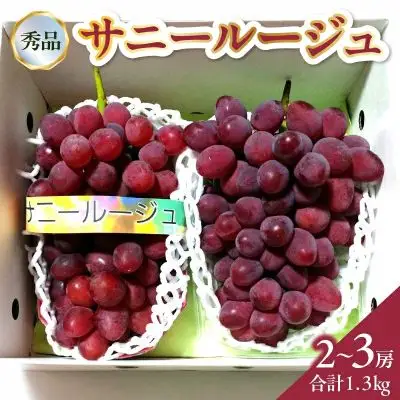 ぶどう（サニールージュ）１.３ｋｇ　0142-2603