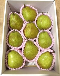 西洋梨（ラ・フランス）３ｋｇ　贈答用　0142-2610