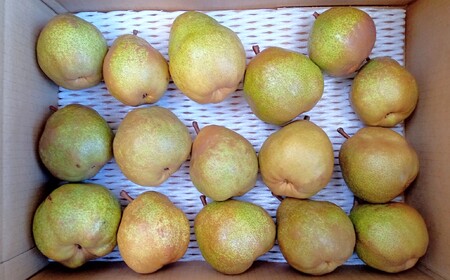 西洋梨（ラ・フランス）５.５ｋｇ　ご家庭用　0142-2613