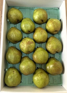 西洋梨（ラ・フランス）５ｋｇ　贈答用　0142-2612