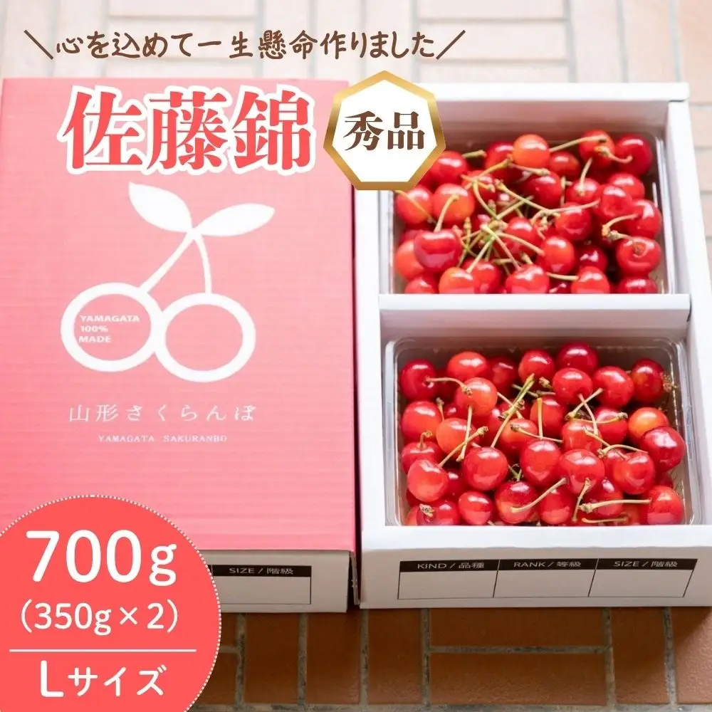 さくらんぼ（佐藤錦）７００ｇ　Ｌサイズ　0066-2601