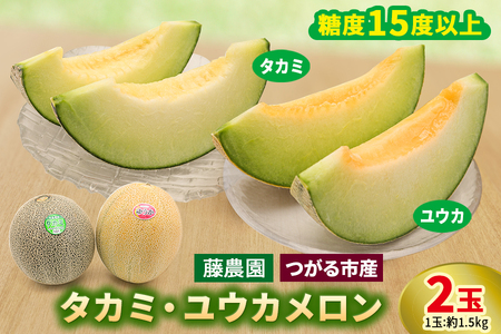 【先行予約】メロン [タカミ] [ユウカ] 2玉セット｜舐瓜 [0837]