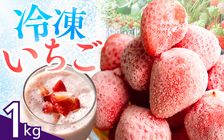 【先行予約＿2026年出荷分】 完熟 冷凍イチゴ 1kg　【 フローズン ストロベリー スムージー 苺 いちご 】