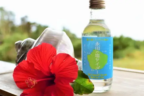 永田の塩サイダー（20本入り） | サイダー