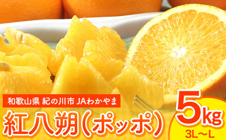 3種15kg　紅八朔　はるか　レモン 紅八朔 はるか ストレートジュース100% 720ml×2本 商品詳細 あおいくま