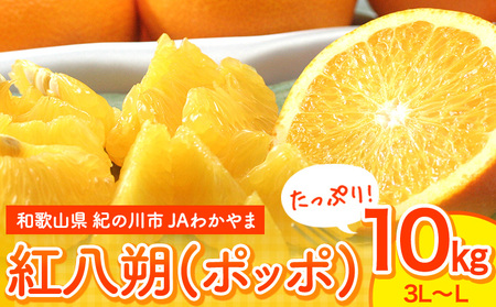 【先行予約】紅八朔(ポッポ) 1約0kg(3L-L) JAわかやま 紀の里地域本部 《2027年3月中旬-3月末頃出荷》 和歌山県 紀の川市 果物 フルーツ 柑橘 はっさく