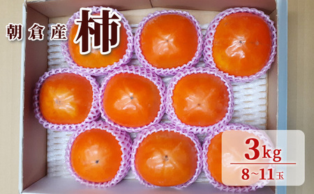 柿 3kg 朝倉 ぱぁ～しもん屋の柿 化粧箱入り 果物類 かき 福岡県産 