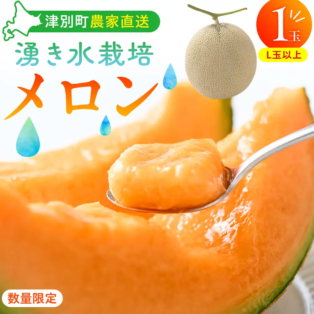 【R8年収穫分】【数量限定】さのさん家のメロン（L玉以上）１玉 湧き水栽培 さの農場 | 北海道津別町