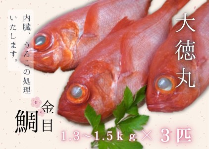 【三崎水揚げ】金目鯛3匹セット M026-004-02 魚 冷凍