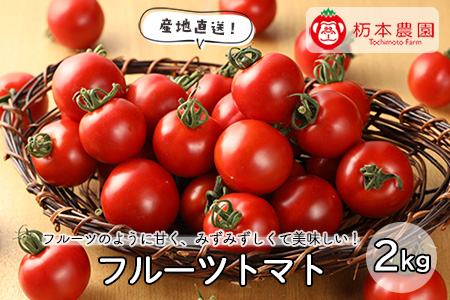 先行予約 フルーツトマト  2kg入り トマト【45-6】