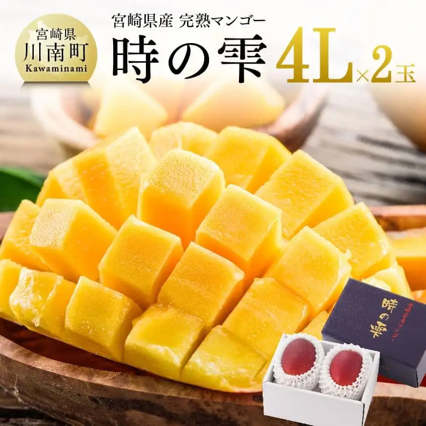 マンゴー 【令和8年発送】宮崎県産完熟マンゴー「時の雫」4L×2玉 フルーツ マンゴー