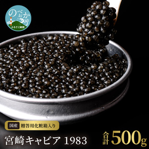 宮崎キャビア1983(500g) N027-YM004