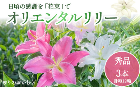 日頃の感謝を「花束」で、オリエンタルリリー【秀品3本】 誕生日 植物 フラワー ギフト プレゼント／Osy-01