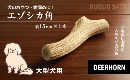 犬のおやつ・歯固めに！エゾシカ角 約15cm×1本（大型犬用）BO011