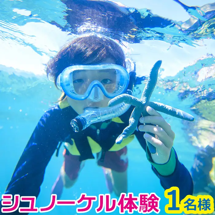 シュノーケル 体験 1名様【バナナボートで行くクマノミ城海の星探し】