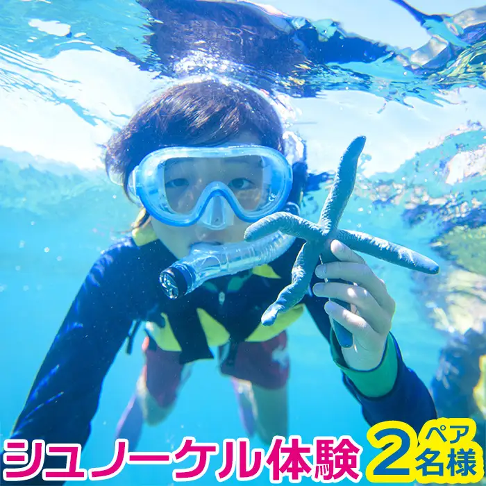 シュノーケル体験 ペア【バナナボートで行くクマノミ城海の星探し】