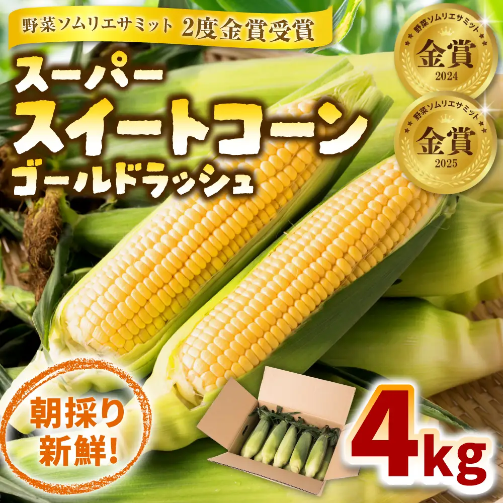 熊本県八代市産 スーパースイートコーン ゴールドラッシュ 4kg 野菜ソムリエサミット 2年連続金賞受賞 スイートコーン とうもろこし コーン 朝採り 高糖度