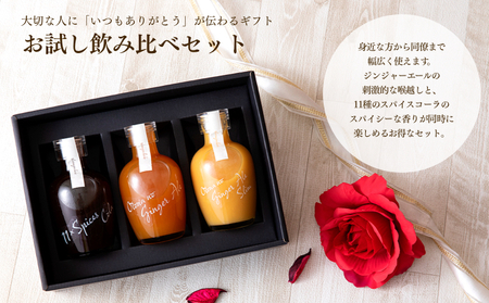 ギフト スパイス ドリンク お試し 飲み比べ セット コーラ ジンジャーエール 炭酸　【 飲料 果汁飲料 ジュース 加工食品 スパイスドリンク 】 