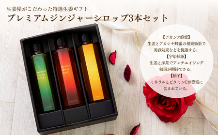プレミアムジンジャーシロップ3本セット 飲料類 果汁飲料 ジュース 加工食品 生姜シロップ 