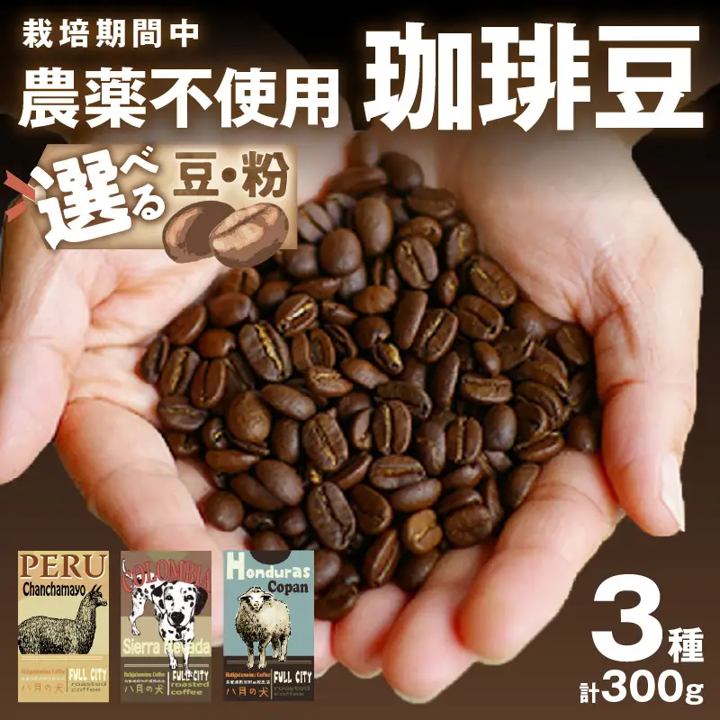 【八月の犬 コーヒー豆】 100gx3種飲み比べ | コーヒー豆