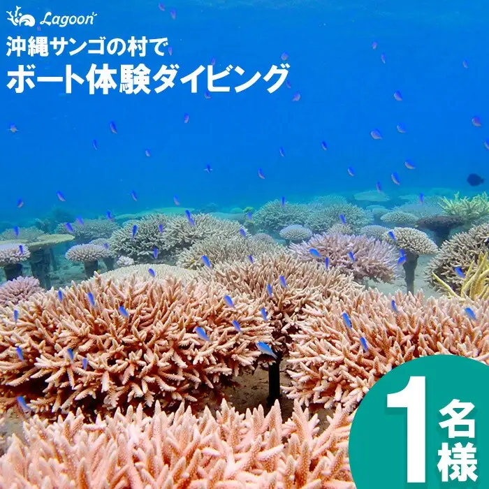 チケット ボート体験 ダイビング 1名 沖縄サンゴの村【恩納村ラグーン】