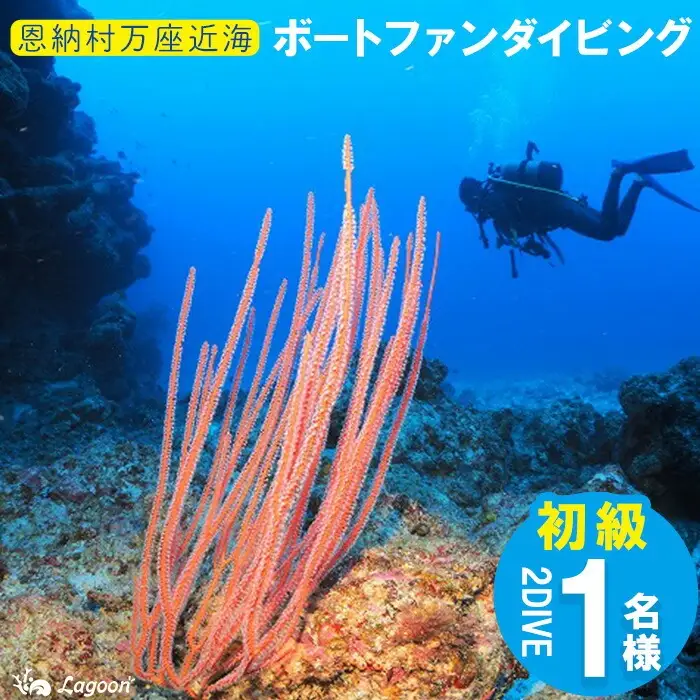 チケット ファンダイビング ｜ 初級2DIVE 1名様 万座近海【恩納村ラグーン】