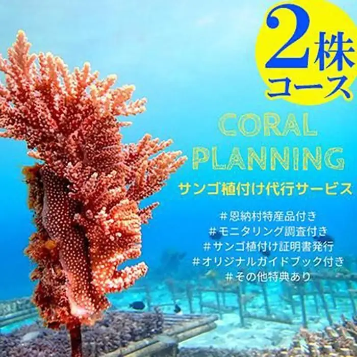 チケット サンゴ植付け ｜ 代行サービス 2株【恩納村ラグーン】