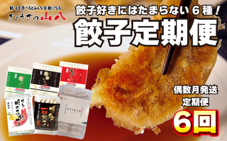 ぎょうざの山八★餃子定期便（年6回偶数月）【随時開始】[H7002]