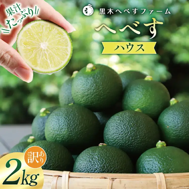 【期間限定発送】訳あり 旬を先取り 黒木へべすファーム自慢の《ハウス》 へべす 2kg [黒木へべすファーム 宮崎県 日向市 452060743]