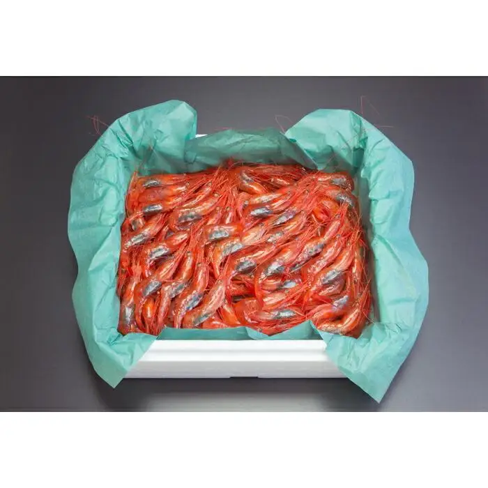 【にいがたフード・ブランド】 生鮮 南蛮海老 約500ｇ