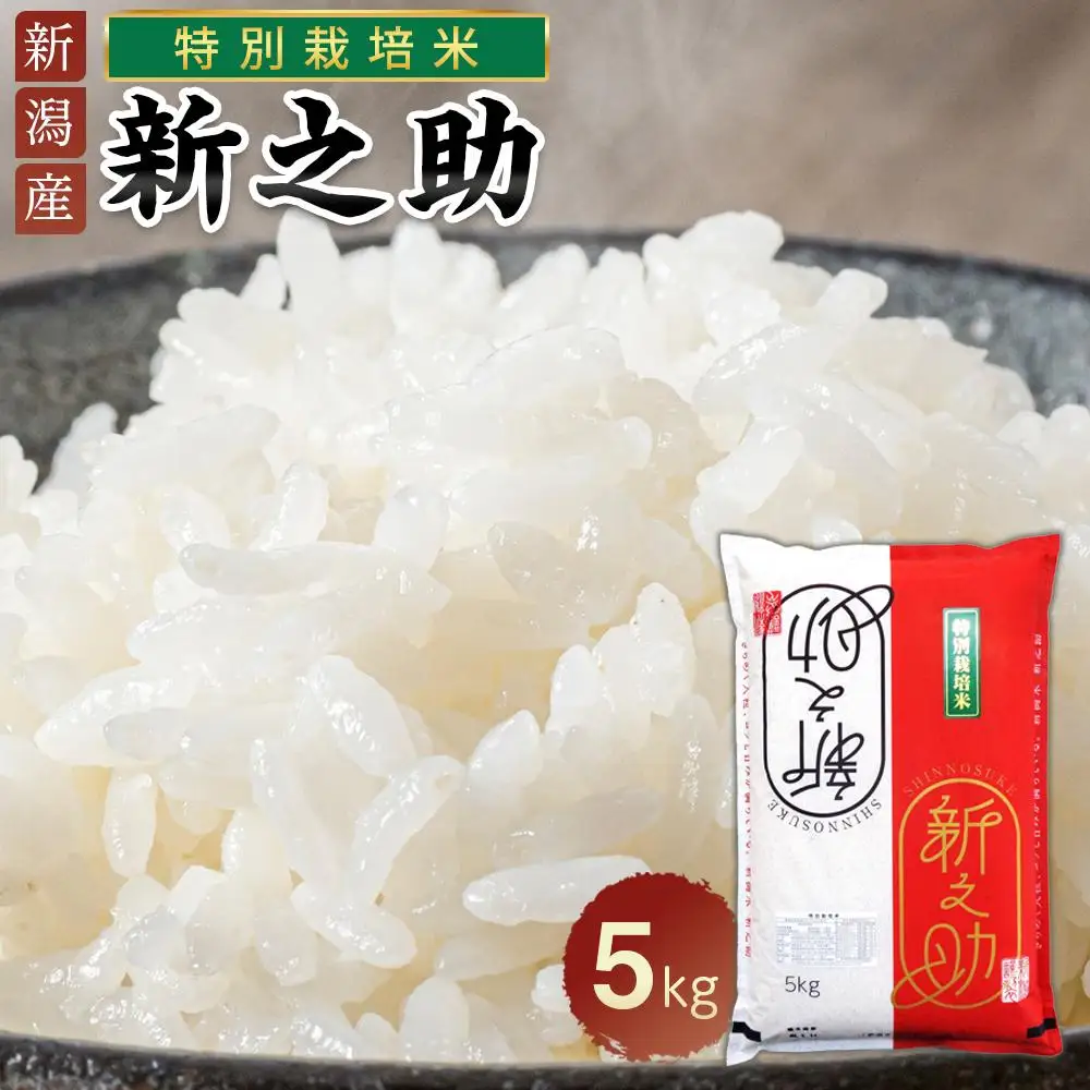 新之助（特別栽培米）5kg　| 米　お米　新潟　新潟県