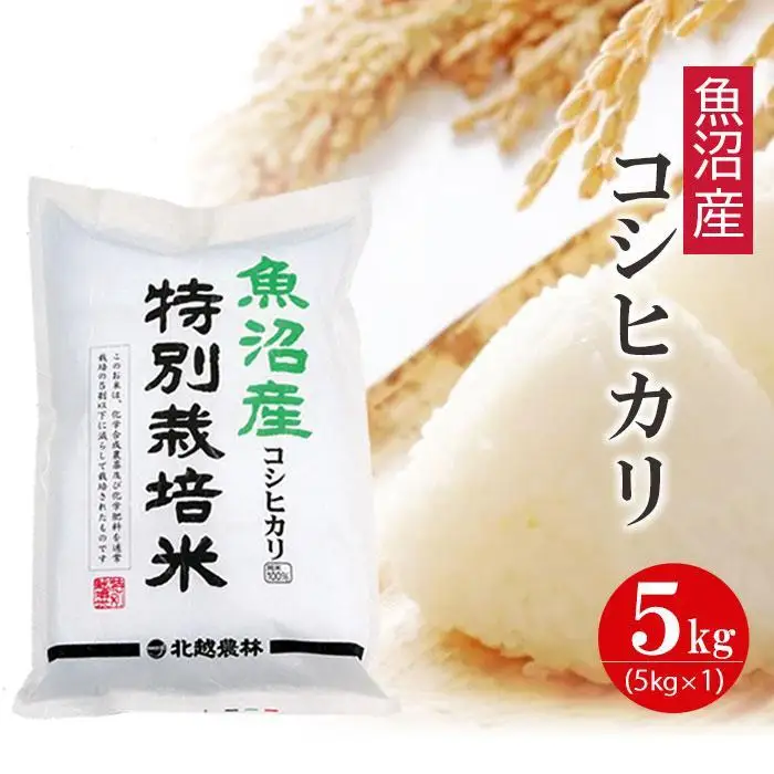 【令和7年産】新潟県魚沼産コシヒカリ 特別栽培米 5kg 白米 精米