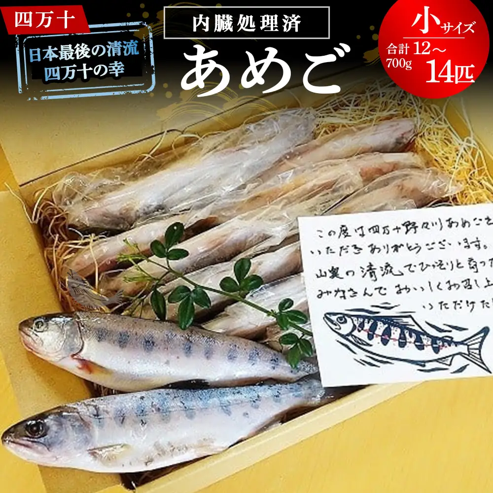 【予約受付】四万十の幸「あめご」 使いやすい小ぶりサイズ 700g (16cm前後×12～14匹) Eay-02 あめご あまご アメゴ アマゴ 小魚 魚 魚介 川魚 塩焼き 南蛮漬け 冷凍 魚貝類 