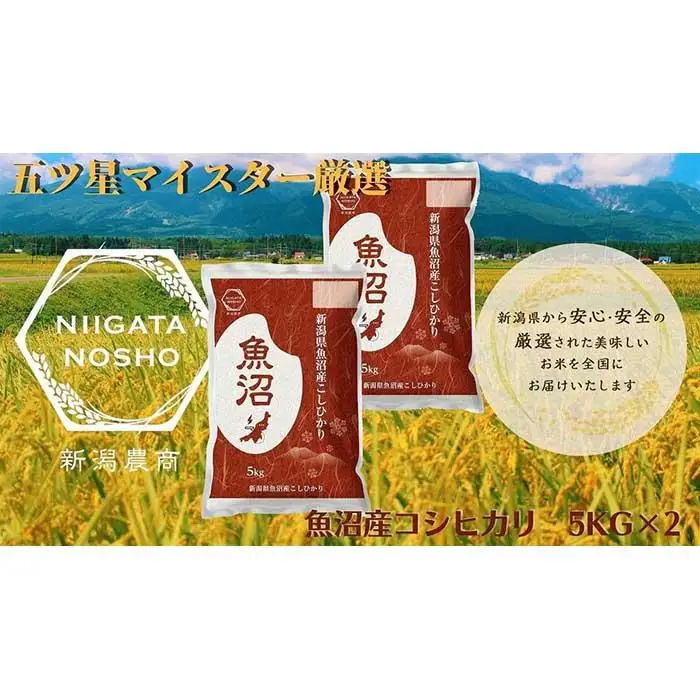 【令和7年産】五ッ星マイスター厳選　魚沼産コシヒカリ　5kg×2
