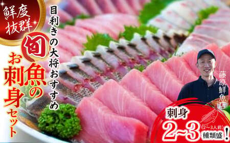 旬な海の幸をお届け！大将のおまかせ刺身2～3種類盛！ 刺し身 鮮魚 海鮮 お魚 盛り合わせ 冷蔵  即日発送 ／Efs-01