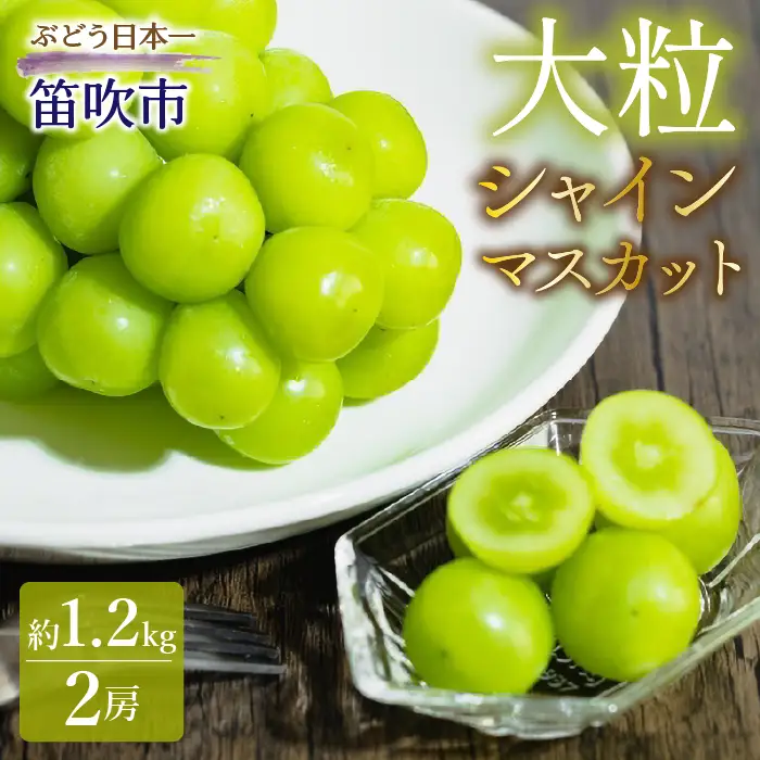 【2026年発送★先行予約】 JAふえふき シャインマスカット 2房（約1.2kg） 010-00826y