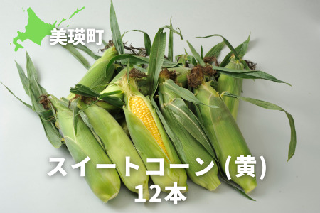 【先行予約】とうもろこし スイートコーン（黄）12本 ＜令和8年産＞サスケの家 [014-98]