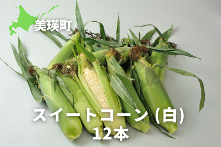 【先行予約】とうもろこし スイートコーン（白）12本 ＜令和8年産＞サスケの家[016-95]