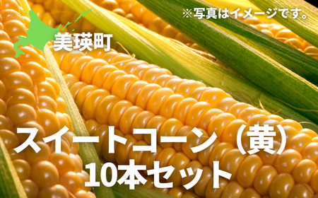 とうもろこし ≪令和８年産予約受付≫ とうもろこし （黄）10本 北海道 [017-66]