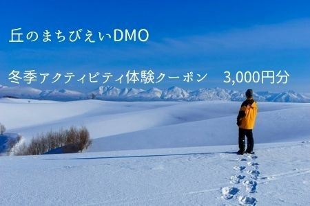 丘のまちびえいDMO　冬季アクティビティ体験クーポン3,000円 | アクティビティ 美瑛町[010-148]