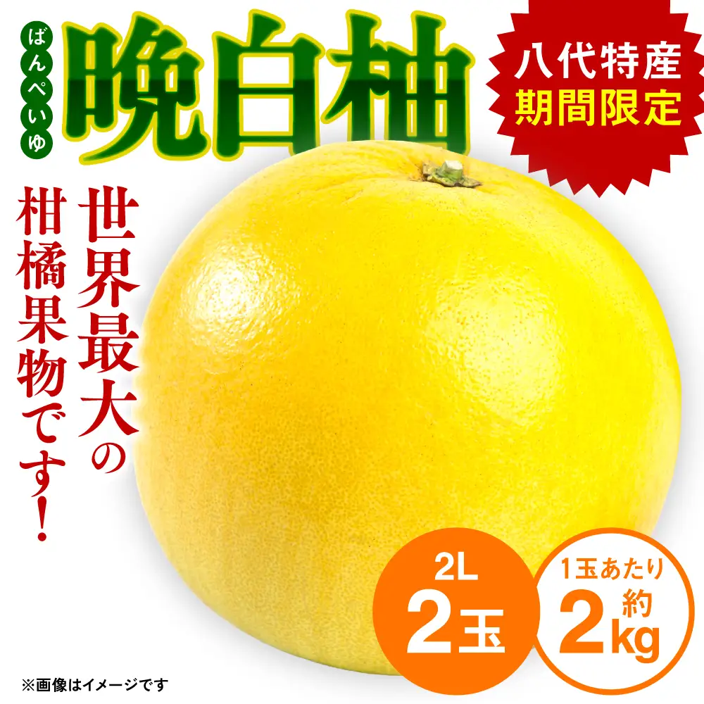 先行予約】熊本県八代市産 晩白柚 （ばんぺいゆ） 2Lサイズ(約2kg)×2玉