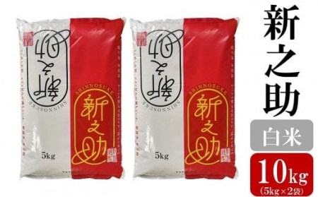令和7年産米【五ツ星お米マイスター厳選】新之助 白米 10kg（5kg×2袋）[Y0566]