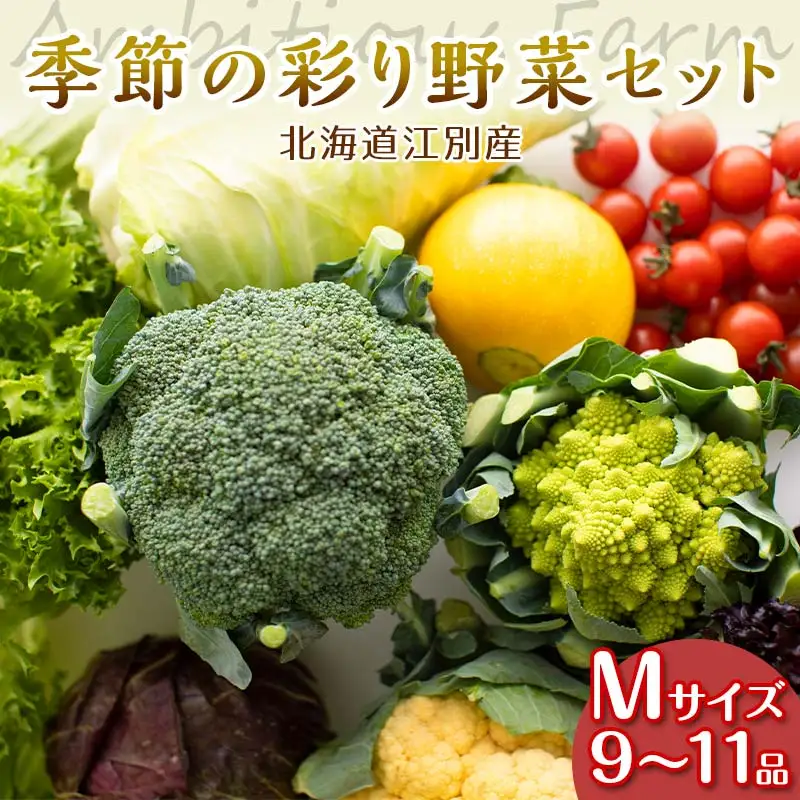 季節の彩り野菜セットMサイズ(9～11品) 野菜 詰め合わせ 新鮮 産地直送 北海道 江別市 EB8-0154