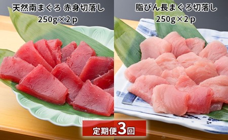 【定期便3回】天然南まぐろ 赤身 切落し＆ 脂びん長まぐろ 切落し【配送不可：離島】 魚貝類 鮪 マグロ 