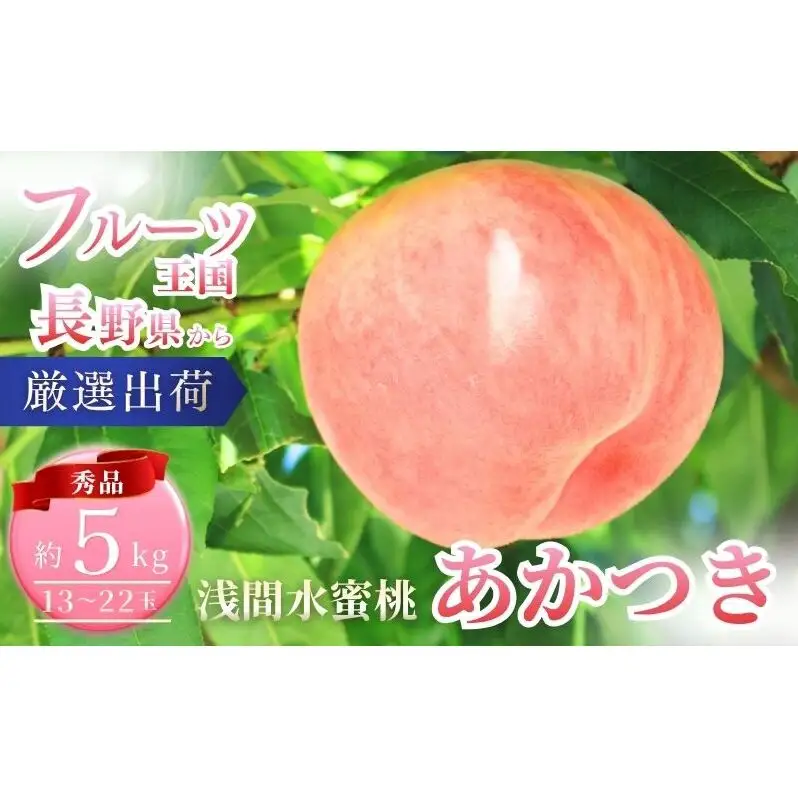 桃 先行予約 浅間水蜜桃 あかつき 約5kg 秀品 13～22玉 フルーツ 果物 白桃 白鳳 甘い 冷蔵