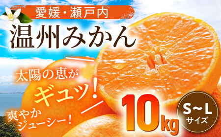 みかん 10kg みかん[AGBN016]